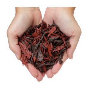 Hands holding red and brown mulch.