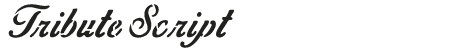 Tribute Script Font